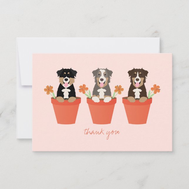 Australian Shepherd Dog In Flower Pot  Thank You Card (Front)