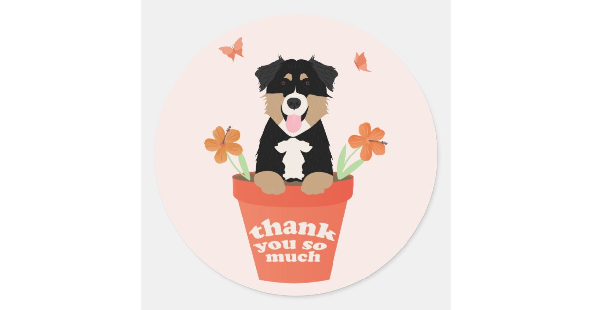 Australian Shepherd Dog In Flower Pot Thank You Classic Round Sticker ...
