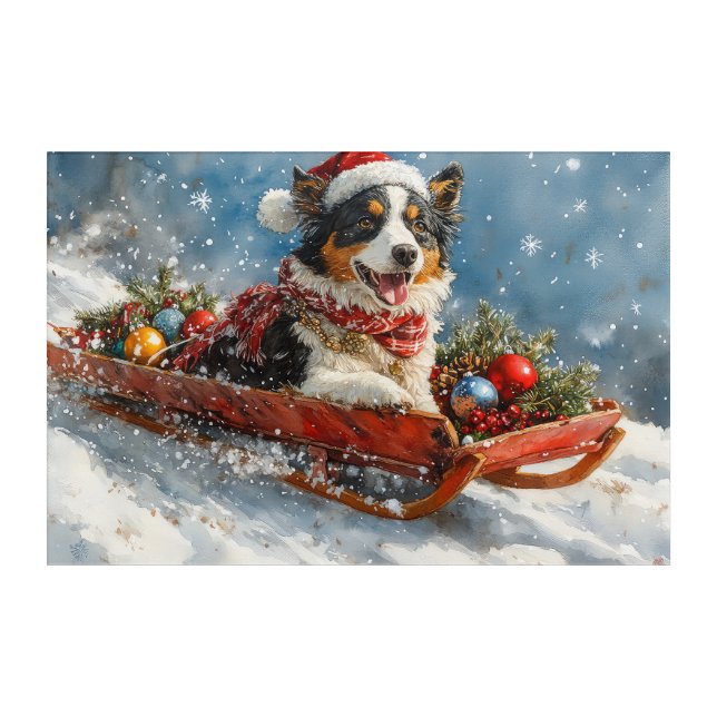 Australian Shepherd Dog in Sledge Chriistmas Acrylic Print (Front)