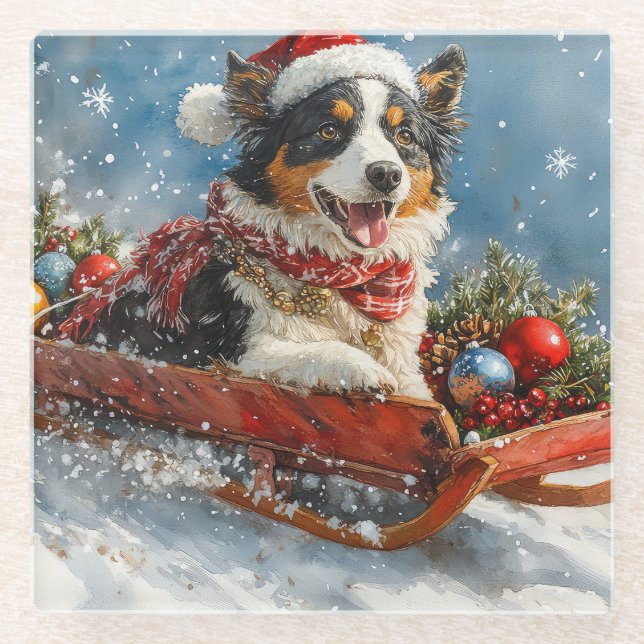 Australian Shepherd Dog in Sledge Chriistmas Glass Coaster (Front)