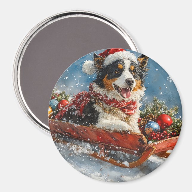 Australian Shepherd Dog in Sledge Chriistmas Magnet (Front/Back)