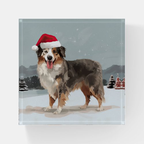 Australian Shepherd Dog in Snow Christmas  Paperweight