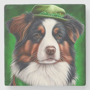 Australian Shepherd dog in St. Patrick's Day Dress Stone Coaster