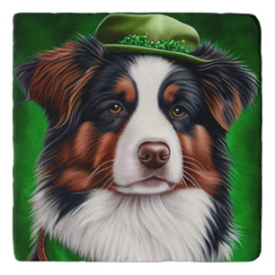 Australian Shepherd dog in St. Patrick's Day Dress Trivet