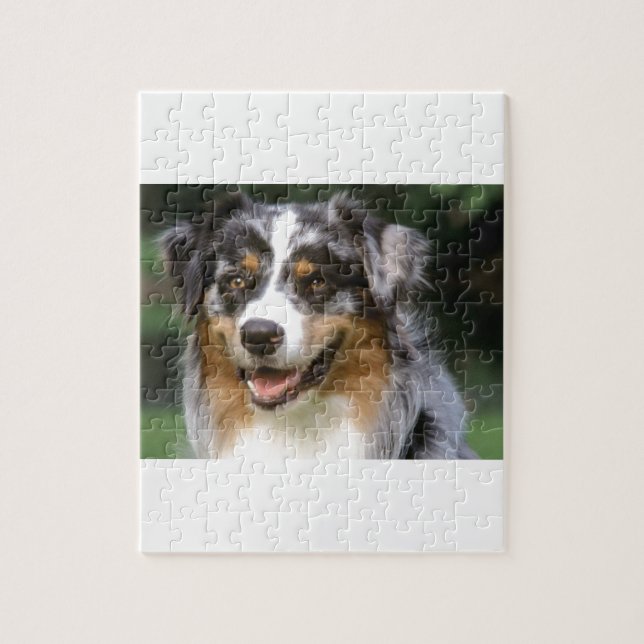 Australian Shepherd Dog Jigsaw Puzzle (Vertical)