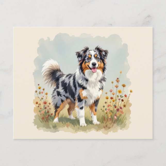 Australian Shepherd Dog Merle Long Tail (Front)