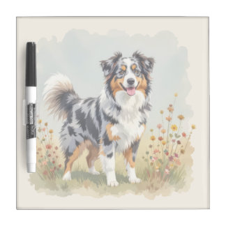 Australian Shepherd Dog Merle Long Tail Dry Erase Board