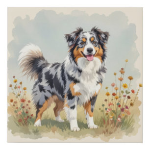 Australian Shepherd Dog Merle Long Tail Faux Canvas Print