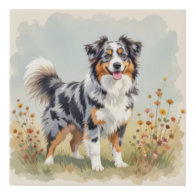 Australian Shepherd Dog Merle Long Tail Faux Canvas Print (Front)