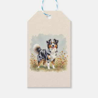 Australian Shepherd Dog Merle Long Tail Gift Tags