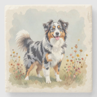 Australian Shepherd Dog Merle Long Tail Stone Coaster