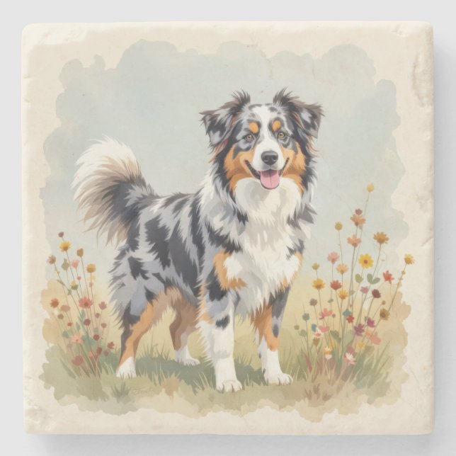 Australian Shepherd Dog Merle Long Tail Stone Coaster (Front)