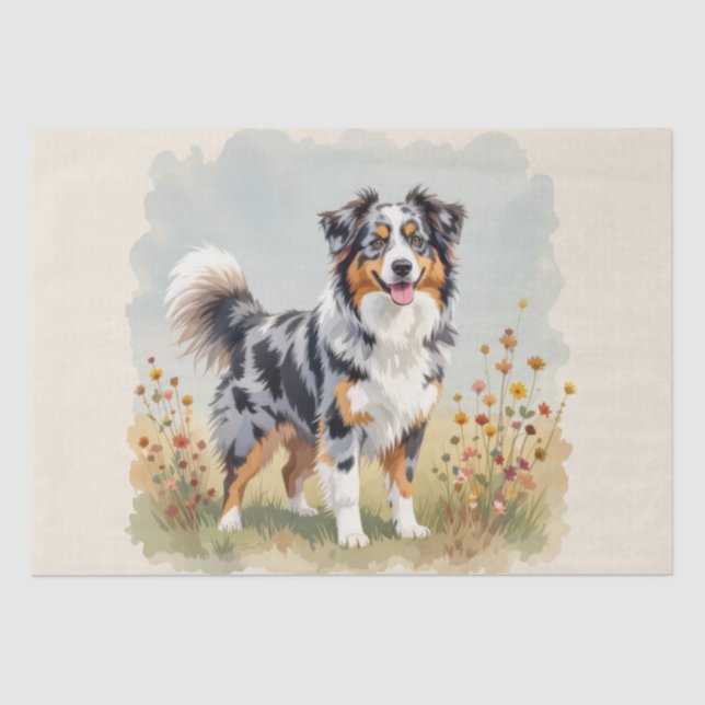Australian Shepherd Dog Merle Long Tail Tissue Paper (Front)