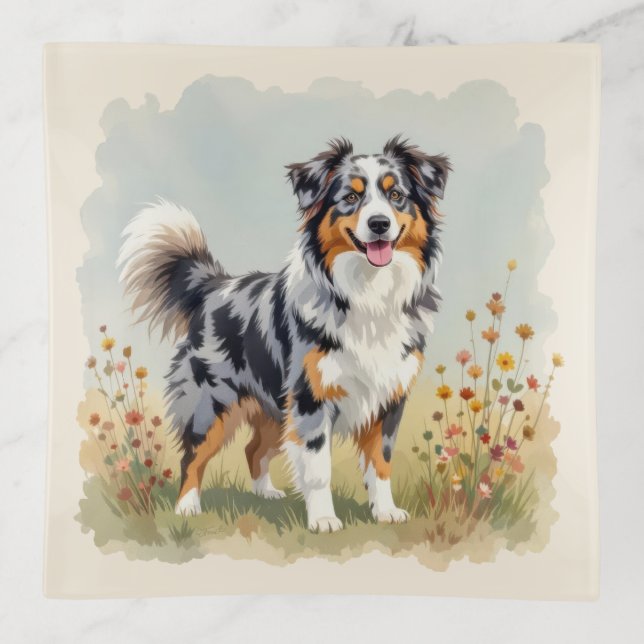Australian Shepherd Dog Merle Long Tail Trinket Tray (Front)
