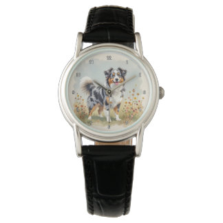 Australian Shepherd Dog Merle Long Tail Watch
