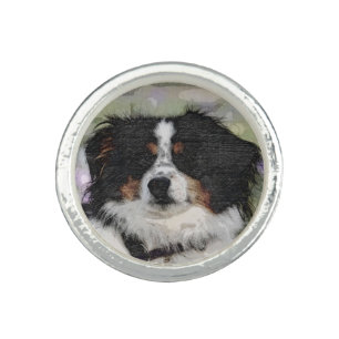 Australian shepherd, Dog, Nature Ring