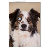 Australian Shepherd Dog Oil Painting Art (Front)
