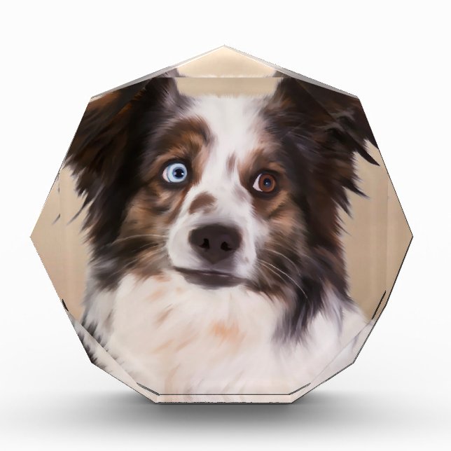 Australian Shepherd Dog Oil Painting Art Award (Front)