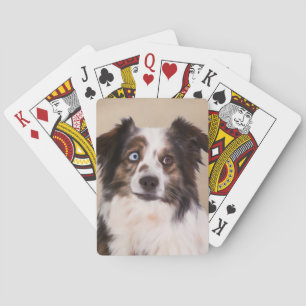 Australian Shepherd Dog Oil Painting Art Poker Cards