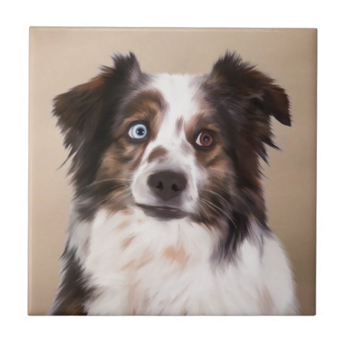 Australian Shepherd Dog Oil Painting Art Tile