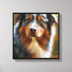 Australian Shepherd - Dog Portrait Canvas Print