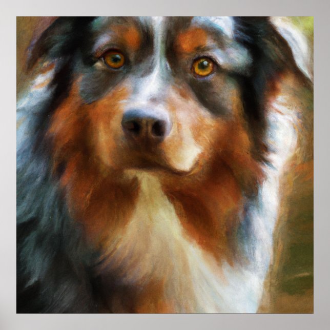 Australian Shepherd - Dog Portrait Poster (Front)