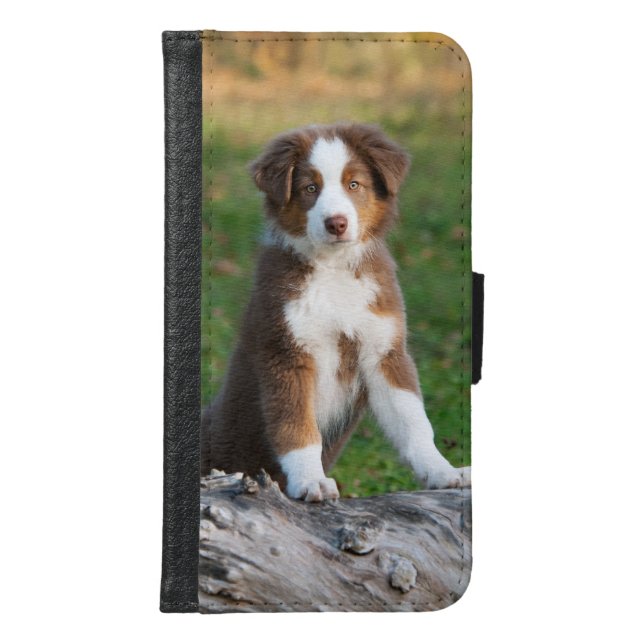 Australian Shepherd dog puppy Animal Photo - Samsung Galaxy Wallet Case (Front)