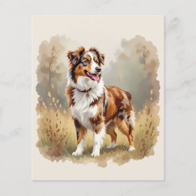 Australian Shepherd Dog Red Merle Aussie (Front)