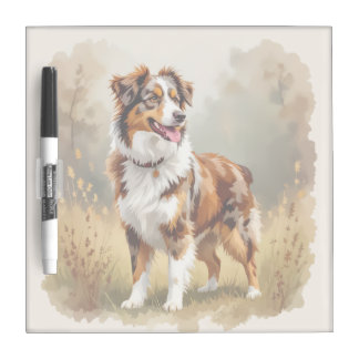 Australian Shepherd Dog Red Merle Aussie Dry Erase Board