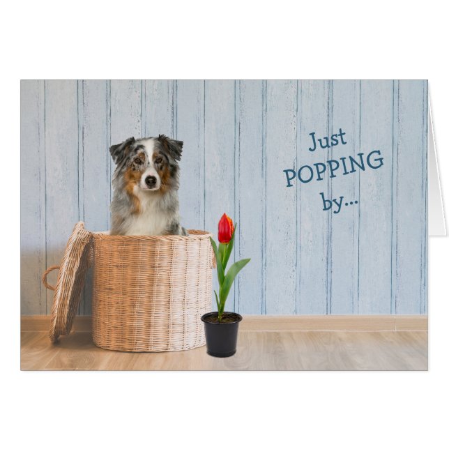Australian Shepherd Dog Wicker Basket Birthday Cards (Front Horizontal)