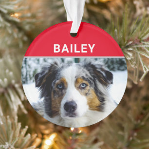 Australian Shepherd Dog with Name and Photo Ornament
