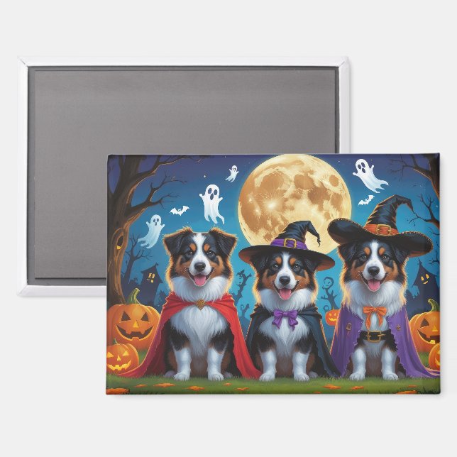 Australian Shepherd Dogs Pumpkin Halloween Funny Magnet (Front/Back)