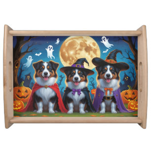 Australian Shepherd Dogs Pumpkin Halloween Funny Serving Tray