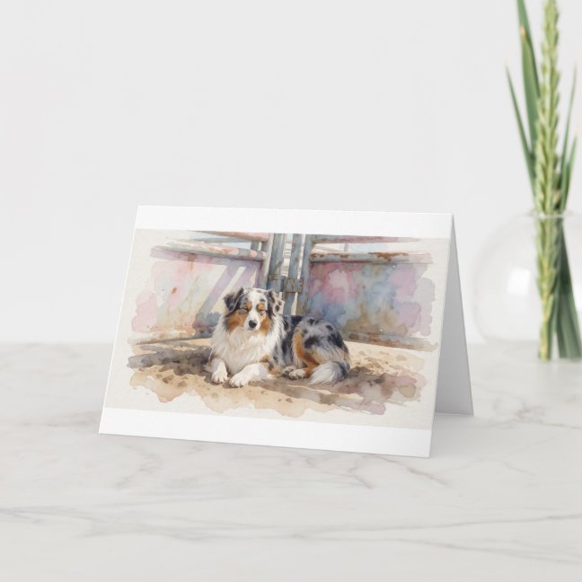 Australian Shepherd Dozing In The Rodeo Pen Corner Card