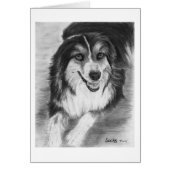 Australian Shepherd Drawing (Front)