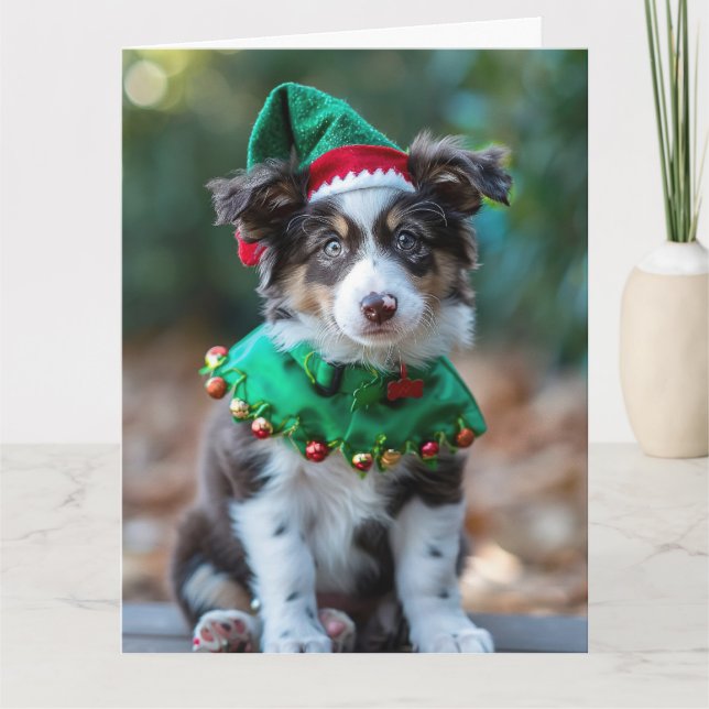 Australian Shepherd Elf Puppy Christmas Card  (Front)