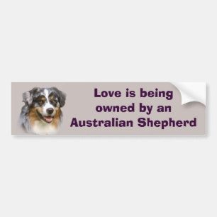 Australian Shepherd Fabulous Bumper Sticker