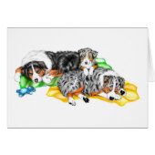 Australian Shepherd Family Nap (Front Horizontal)