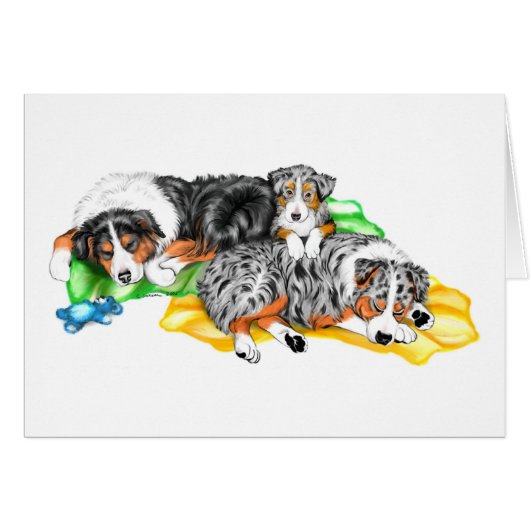 Australian Shepherd Family Nap (Front Horizontal)