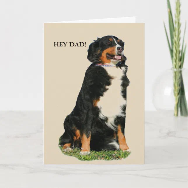 Australian Shepherd Father's Day Card Zazzle