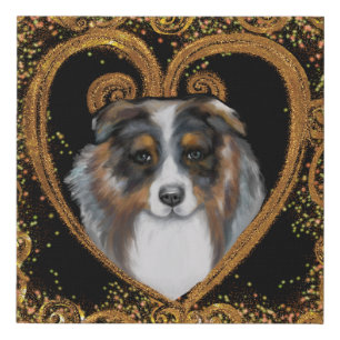 Australian Shepherd   Faux Canvas Print