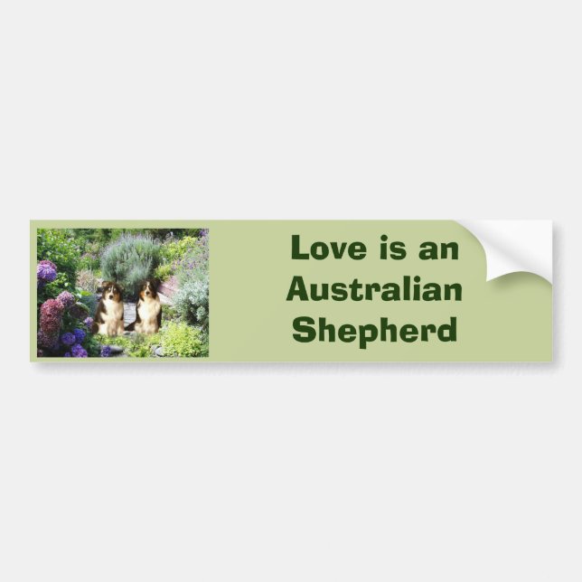 Australian Shepherd Garden Bumper Sticker (Front)