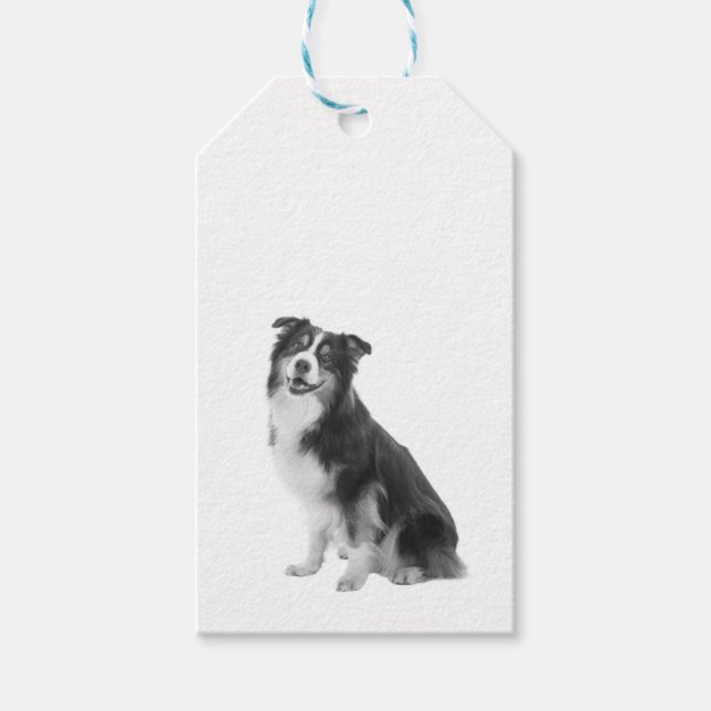 Australian Shepherd Gift Tags (Front)