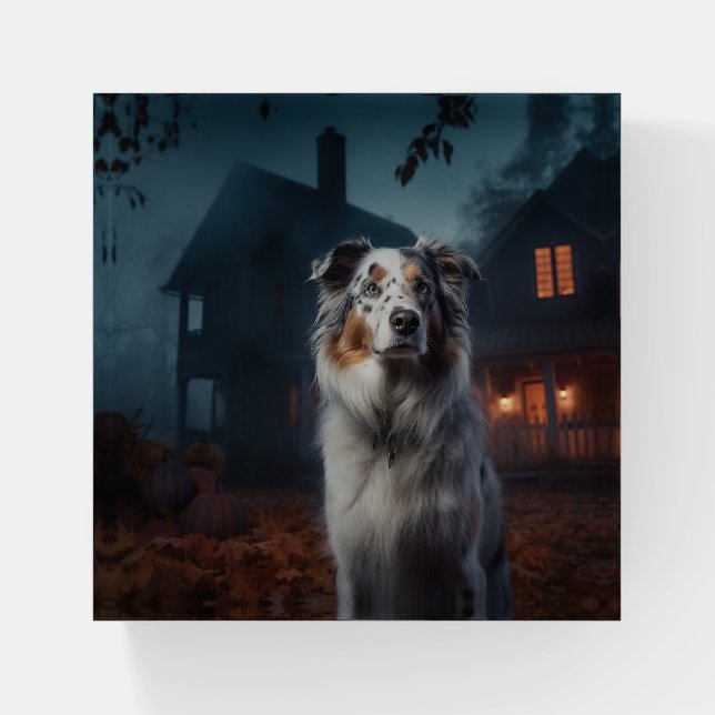 Australian Shepherd Halloween Scary Paperweight (Front)