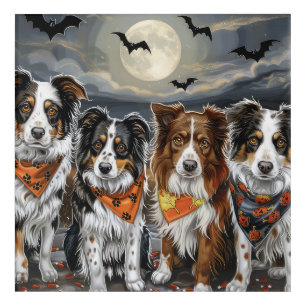 Australian Shepherd Halloween Spooky  Acrylic Print