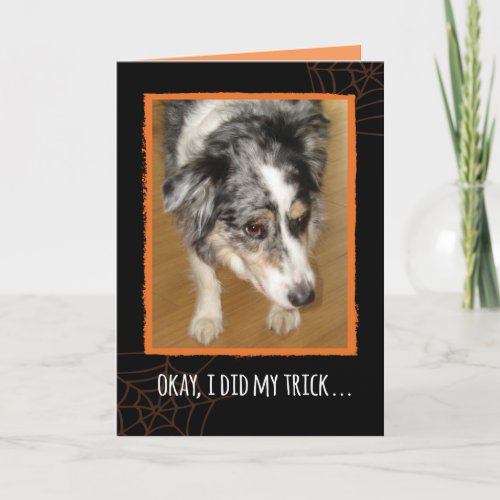 Australian Shepherd Halloween Trick and Treats Card