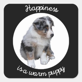 Australian Shepherd - Happiness is a warm puppy Square Sticker
