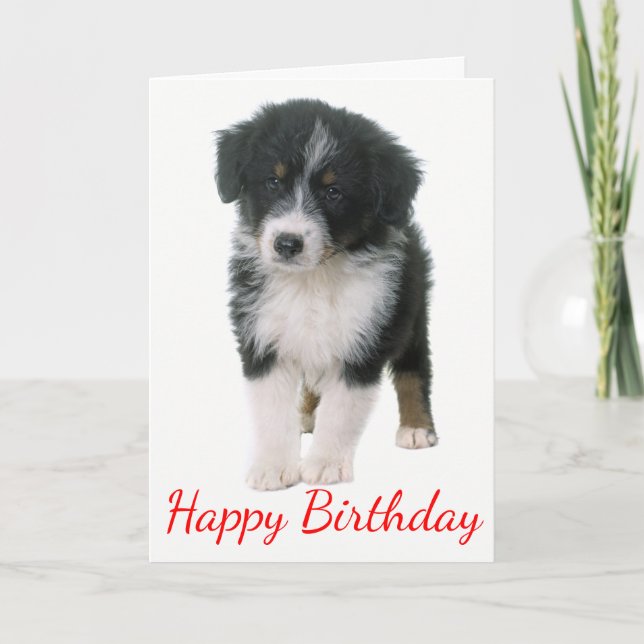 Australian Shepherd Happy Birthday Puppy Dog Card (Front)