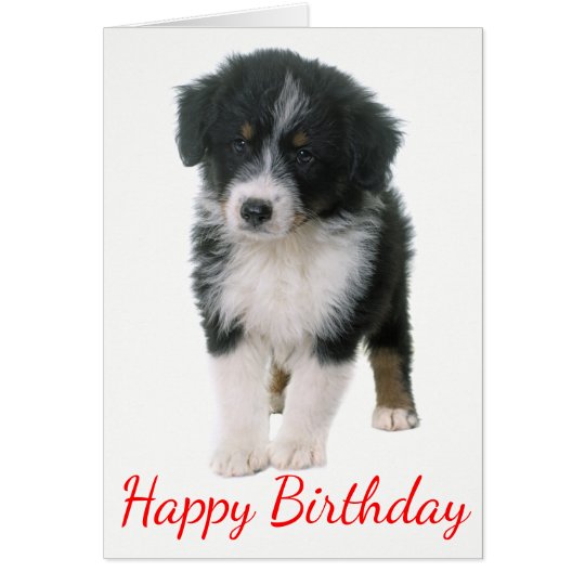 Australian Shepherd Happy Birthday Puppy Dog Card | Zazzle.com