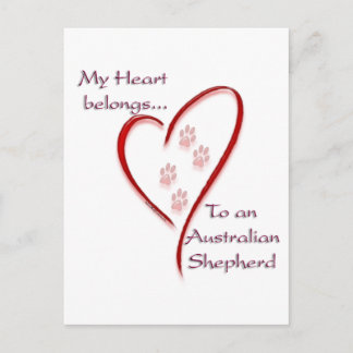 Australian Shepherd Heart Belongs Postcard
